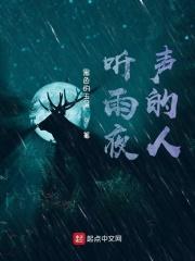 听雨夜声的人